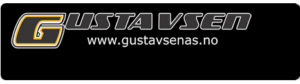 gustavsen-sponsor-buskerud-stor