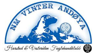 Logo NM vinter Andøya
