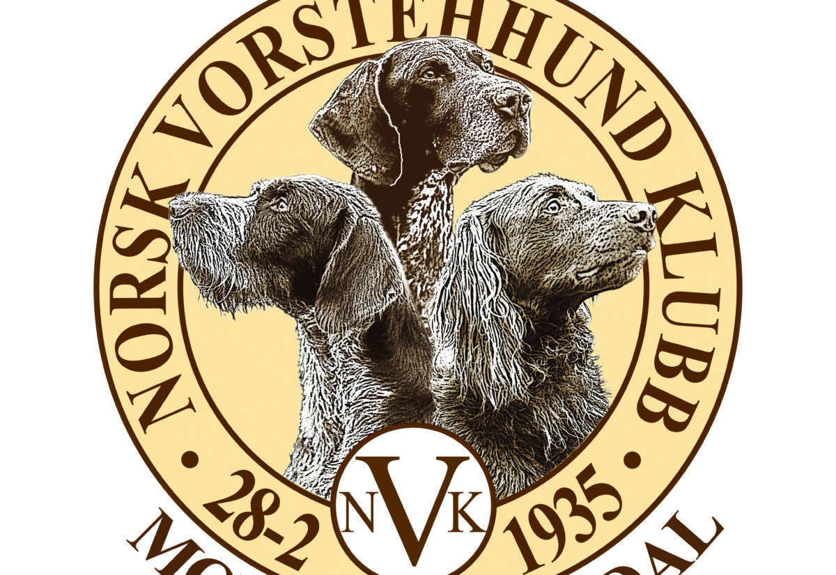 Medlemsmøte 3.februar 2026