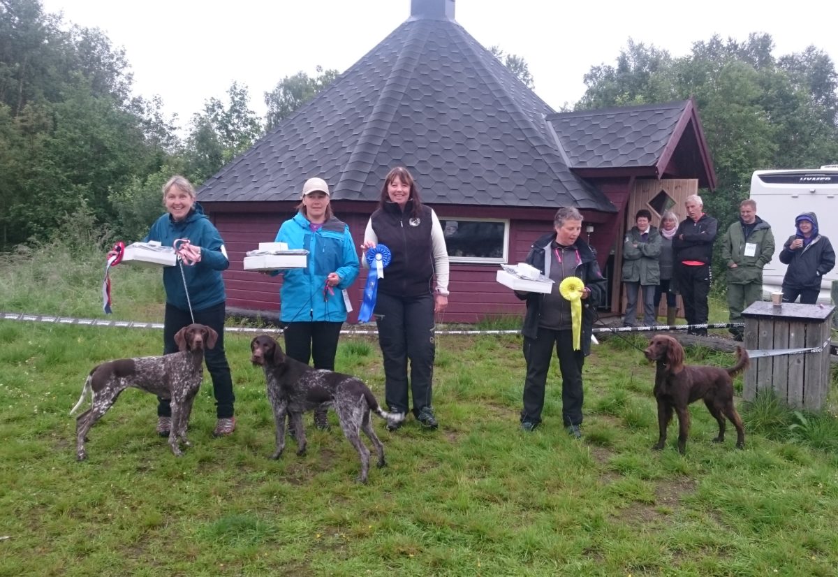 Spesialutstilling for vorstehhunder i Troms 29.juli.