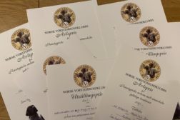 Årets jaktpremierte utstillingshund