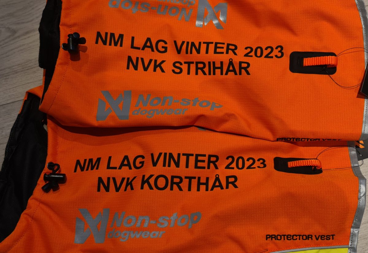 NVK-lagene til NM vinter 2023