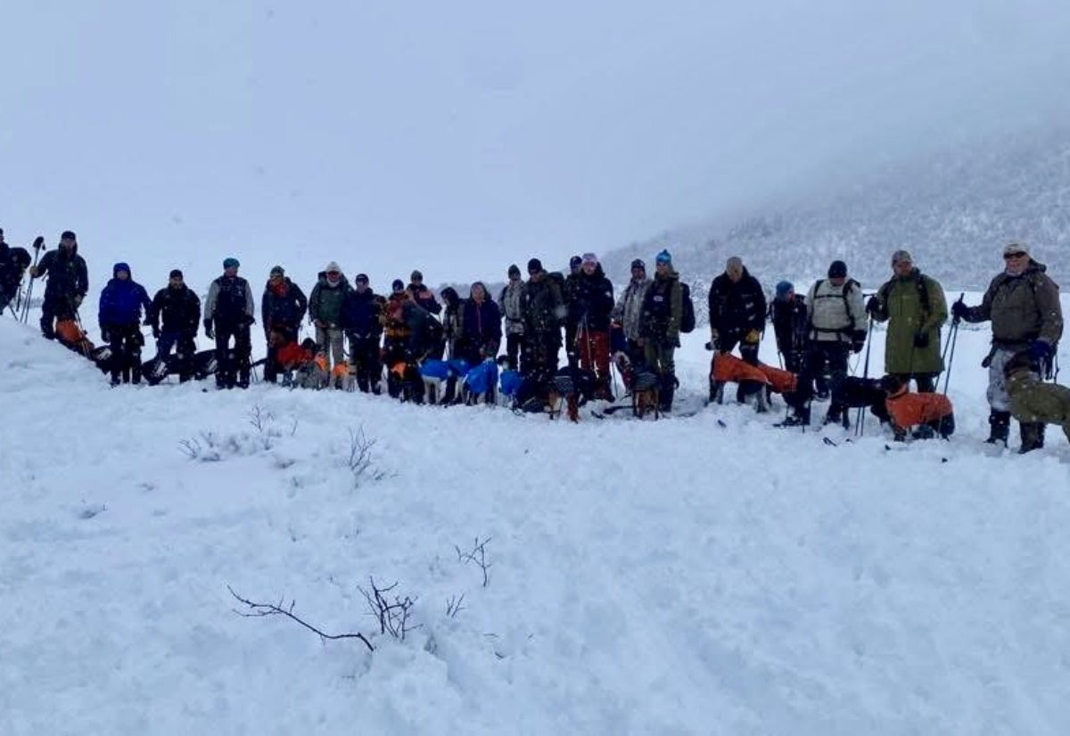 Hunder til NM lag vinter 2026 på Andøya