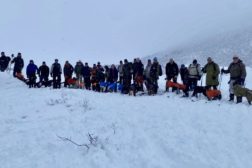 Hunder til NM lag vinter 2026 på Andøya