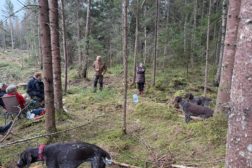 Apportprøvekurset 2025