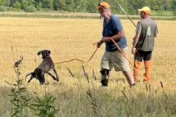 Årets samling på Ervalla – en suksess