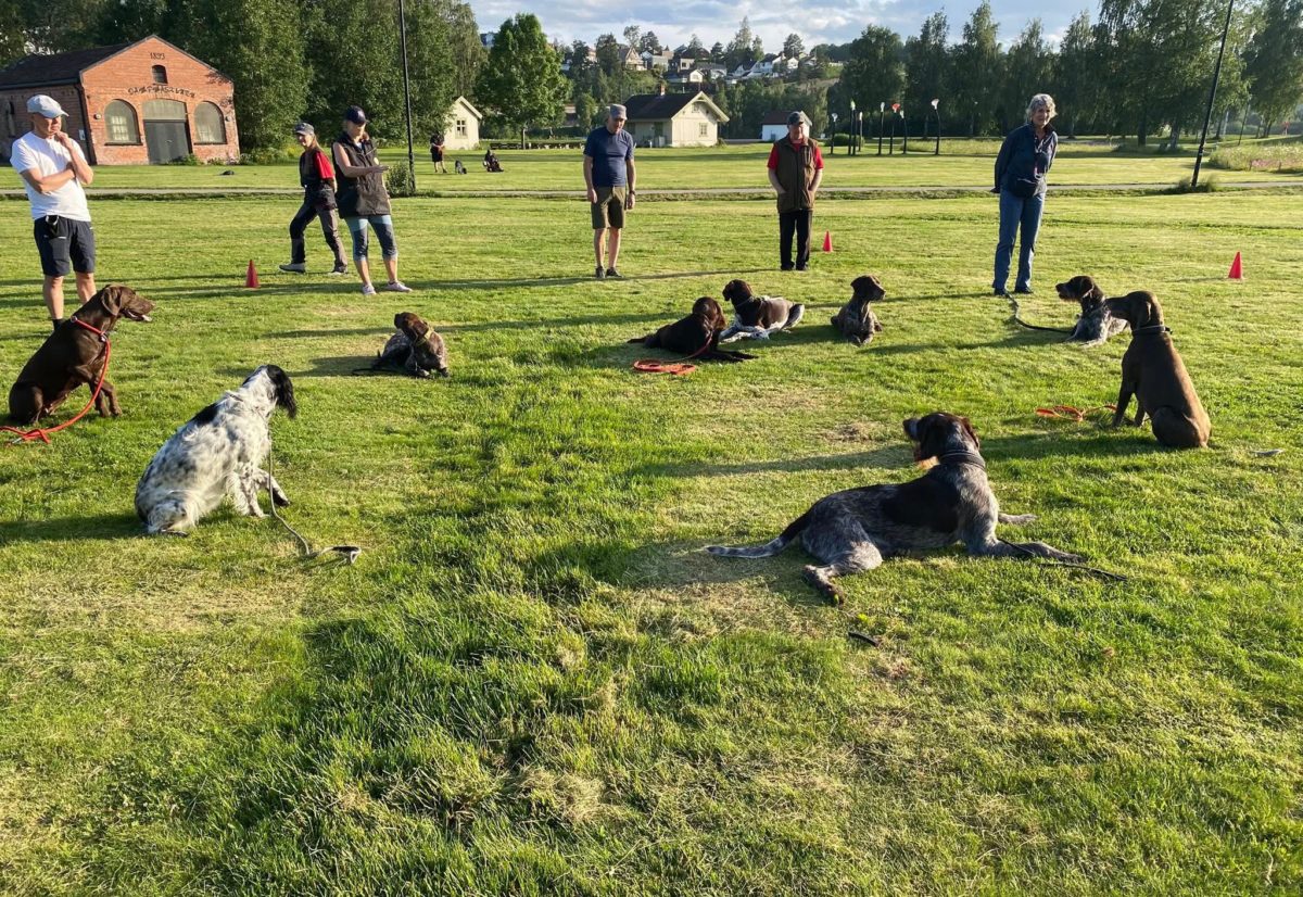 Instruktørutdanning – Fase 1