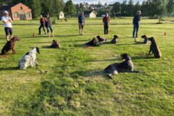 Instruktørutdanning – Fase 1