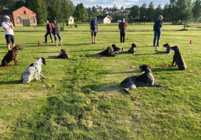 Instruktørutdanning – Fase 1