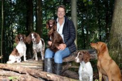 Foredrag: Få stopp på hunden med positive metoder