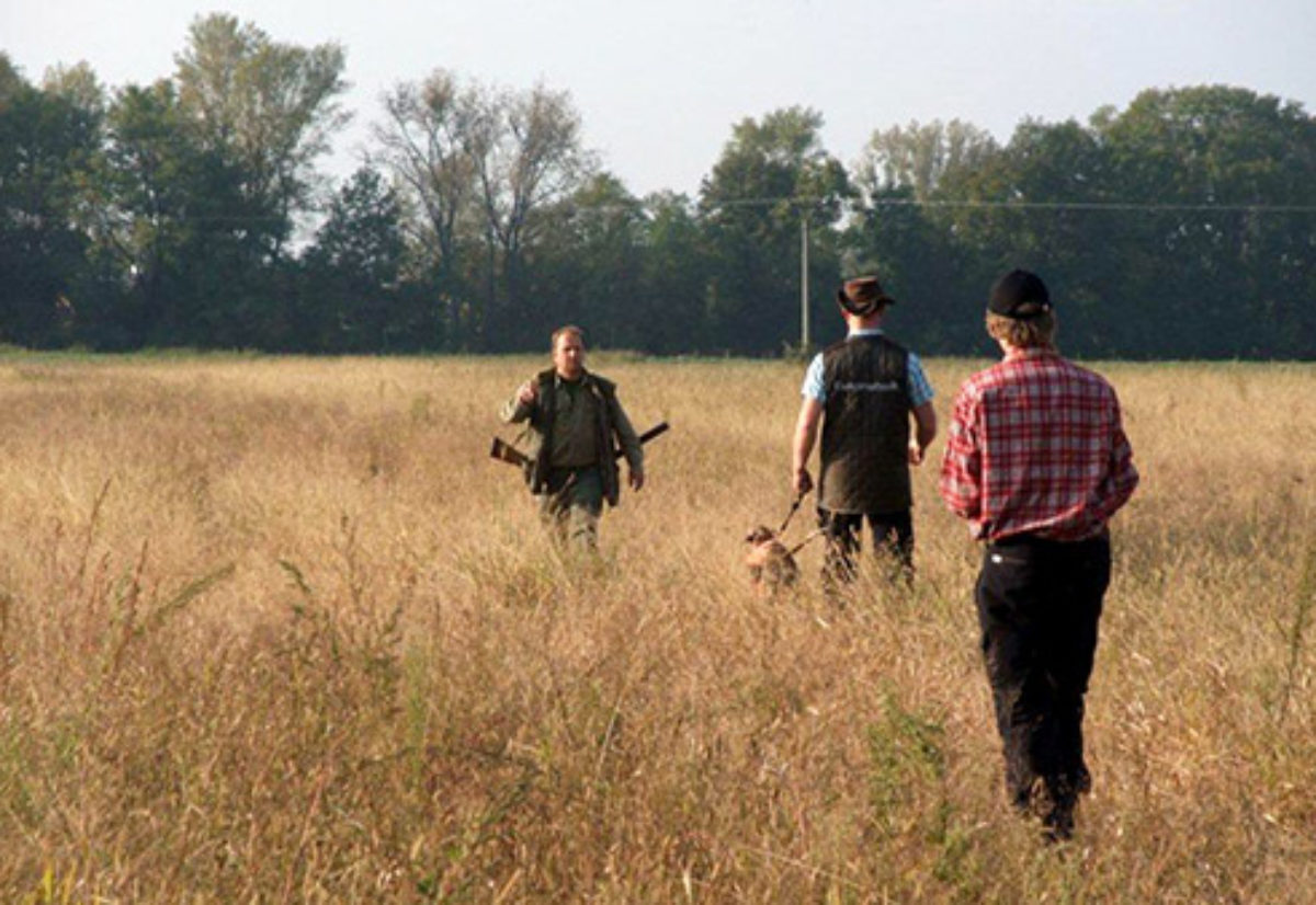 Ekvipasjer til VM 2026