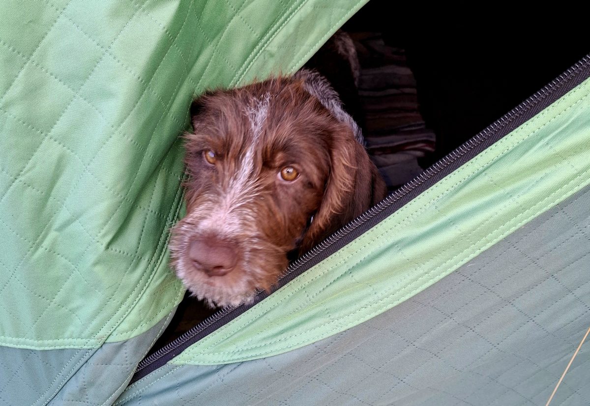 Årsmøte NVK Finnmark 6 jan 2026