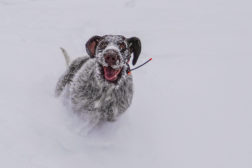 Vintersamling 13-15. mars 2026