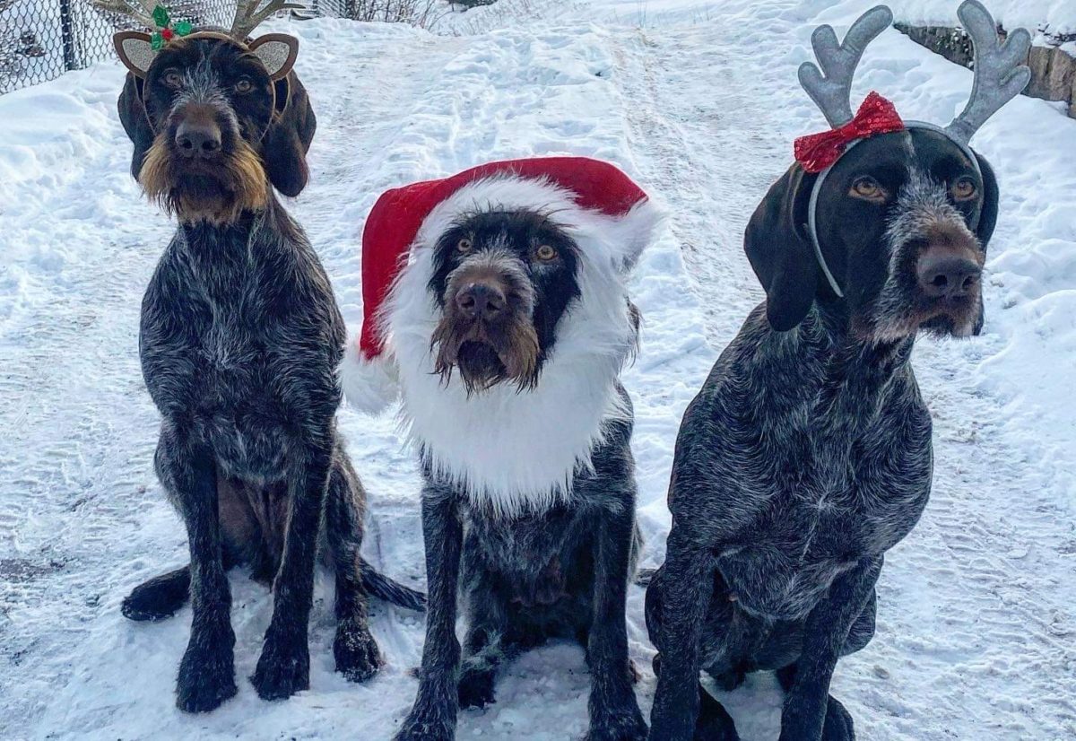 NVK ønsker god jul!