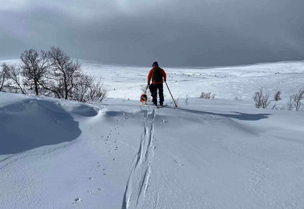 Treningssamling og distriktsmesterskap