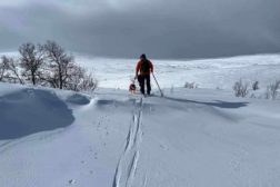 Treningssamling og distriktsmesterskap