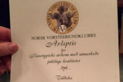 Avlspris for 2025 – fristen nærmer seg