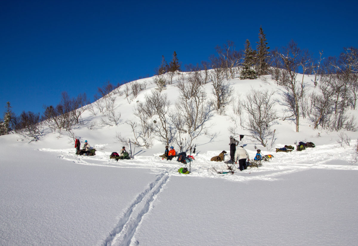 Vintersamling og Distriktsmesterskap Trøndelag