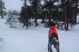 NVK Buskerud Vintersamling på Hovden