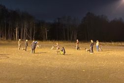 !Fulltegnet, mulighet for venteliste! NVK OA inviterer til unghundkurs!