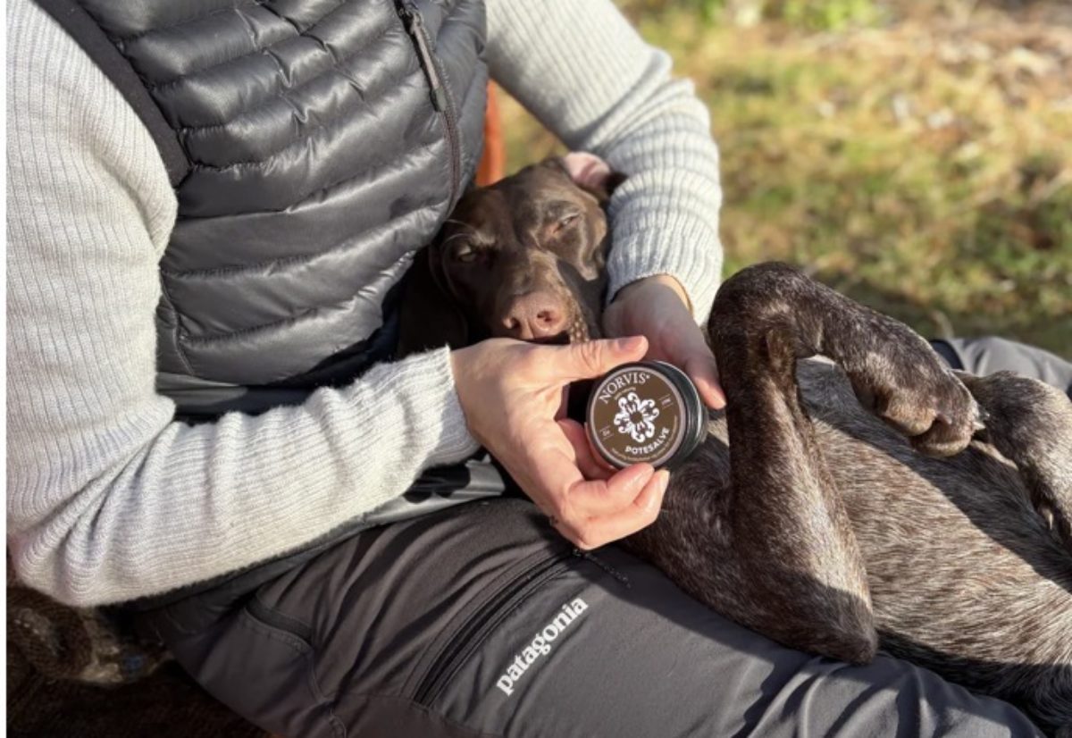 Ny sponsoravtale: Norvis