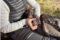 Ny sponsoravtale: Norvis