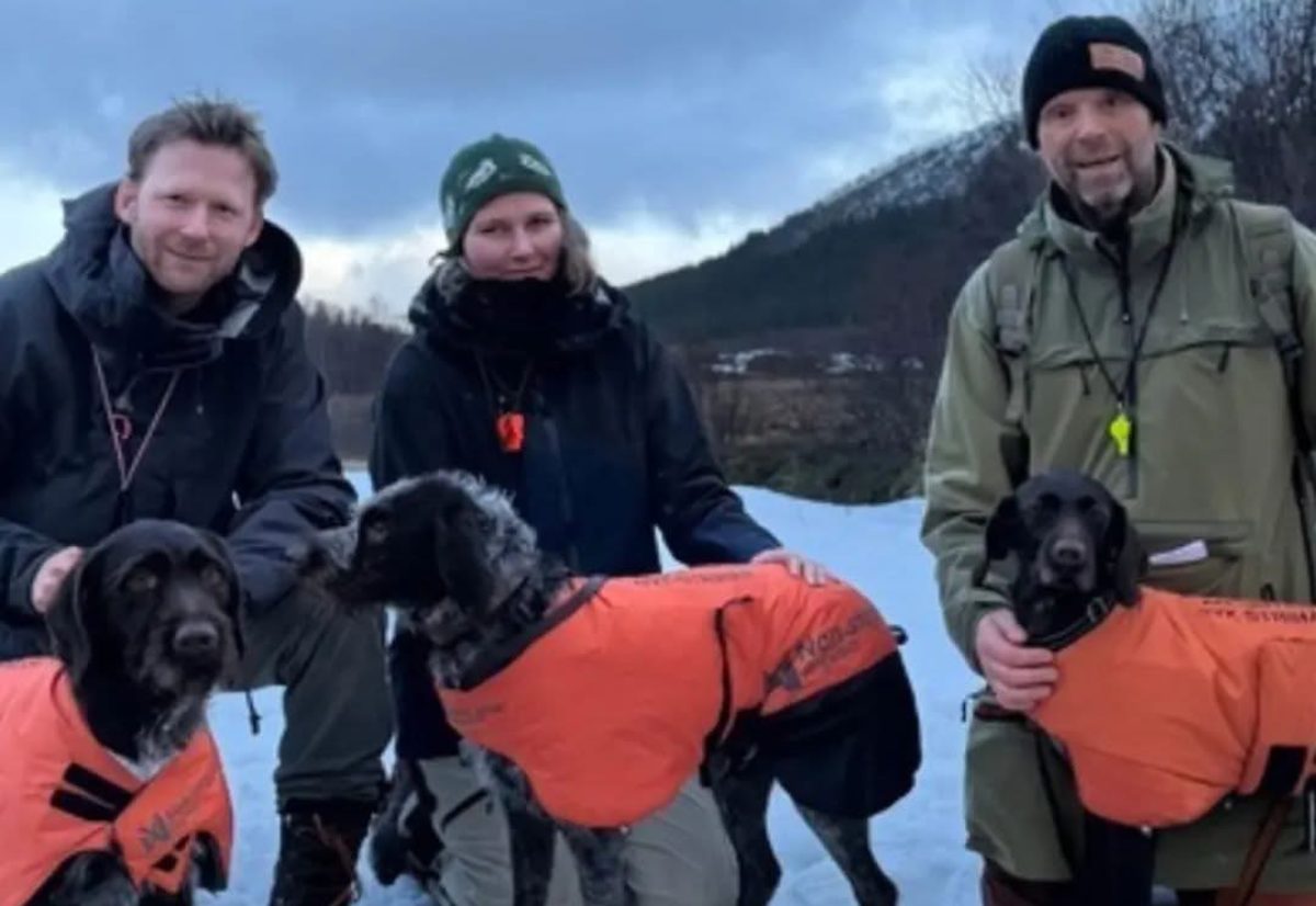 NM vinter 2026: Bronse til strihår-laget