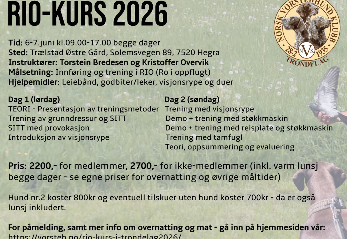 RIO-kurs i Trøndelag