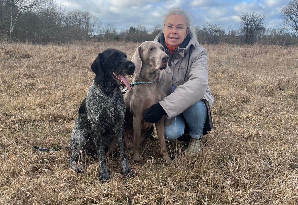 Velkommen til sommerens spesialutstilling