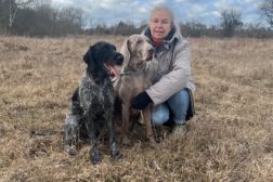 Velkommen til sommerens spesialutstilling