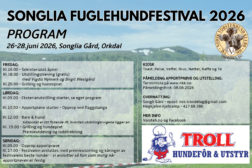 Songlia Fuglehundfestival 26.juni-28.juni 2026