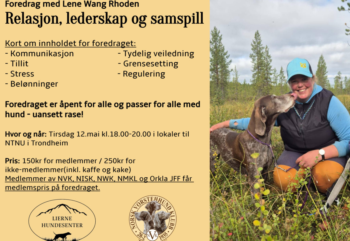 Foredrag – Relasjon, lederskap og samspill