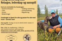 Foredrag – Relasjon, lederskap og samspill