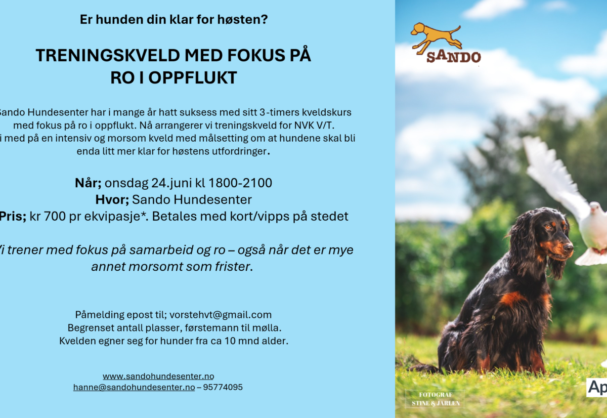 Treningskveld med fokus på RIOS hos Sando hundesenter