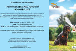 Treningskveld med fokus på RIOS hos Sando hundesenter