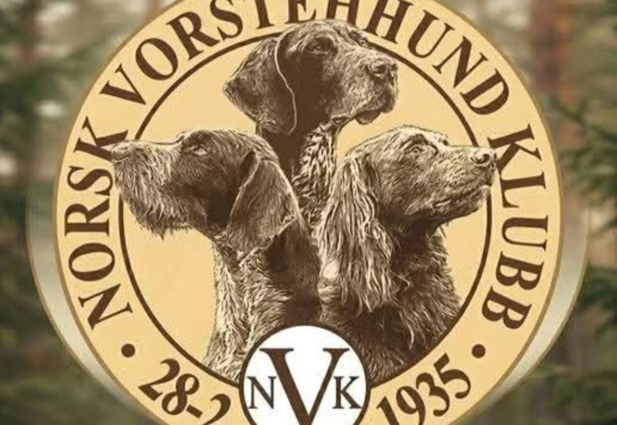 Trenger du apportbevis kan du ta det på Norsk Vorstehhunde Klubb Østfold sin utstilling 6.juni Alle hunder i gruppe 7