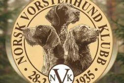 Trenger du apportbevis kan du ta det på Norsk Vorstehhunde Klubb Østfold sin utstilling 6.juni Alle hunder i gruppe 7