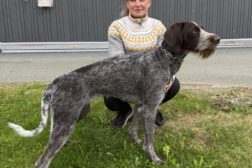 Flott hund på utstilling i Hattfjelldal