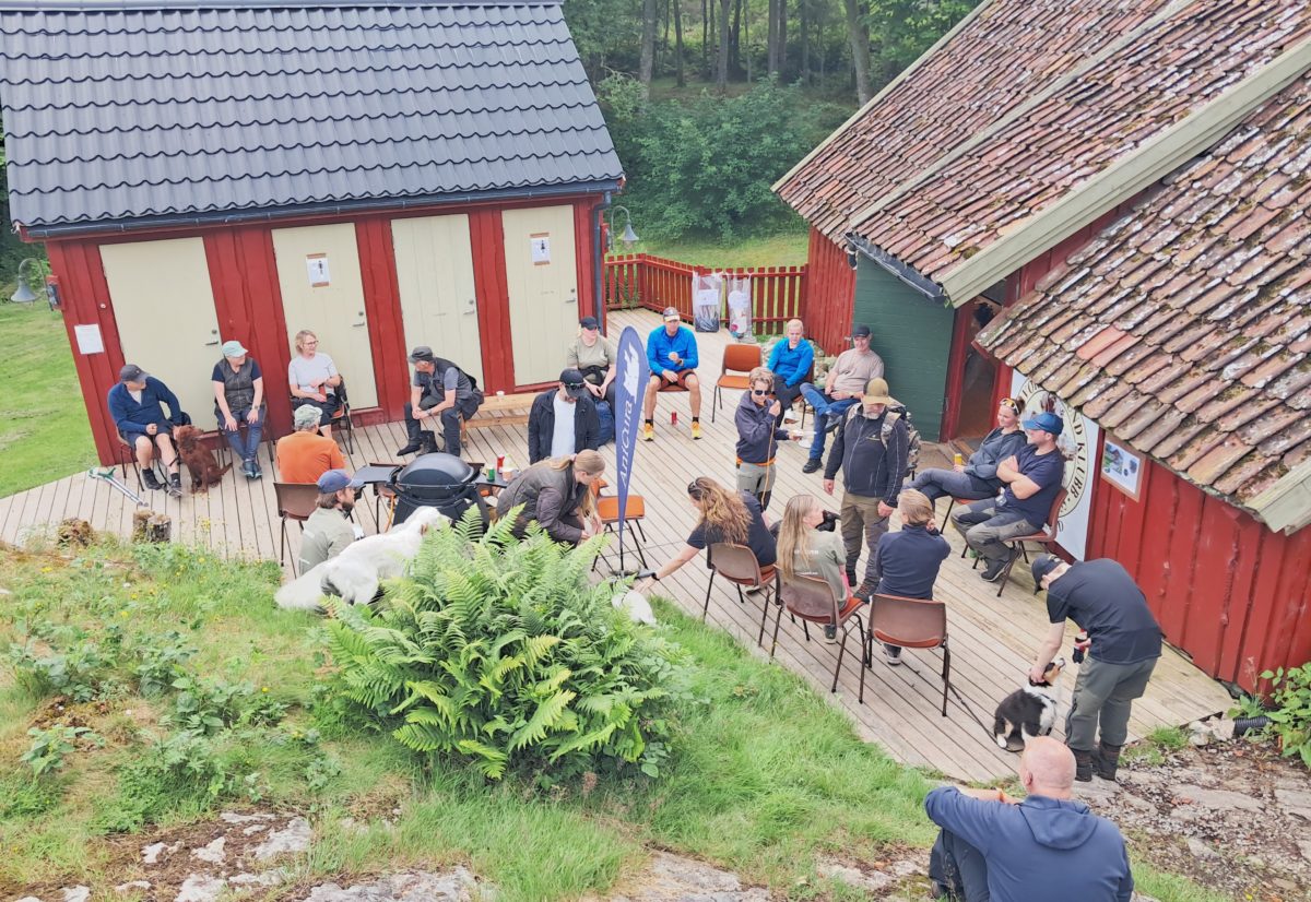 NVK Rogaland Horve 2026