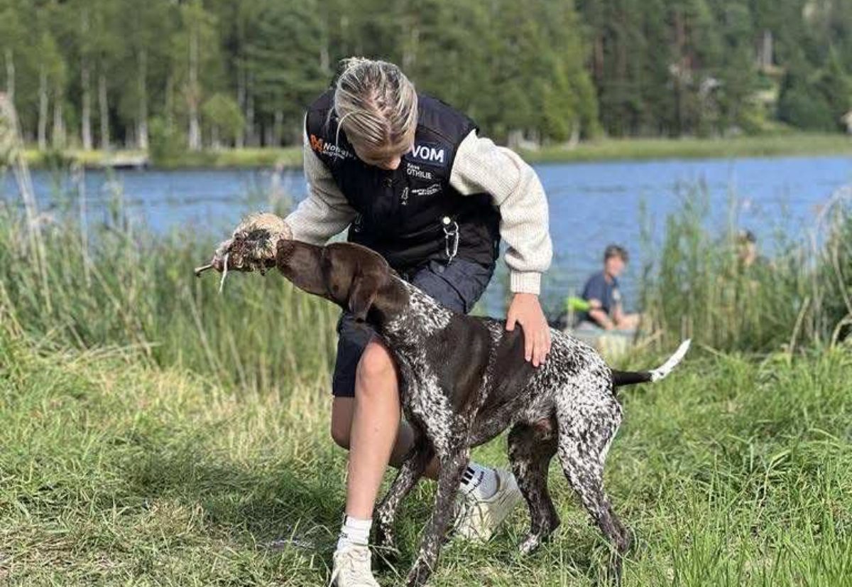 Fra første fuglehund til 16 strake førstepremier