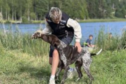 Fra første fuglehund til 16 strake førstepremier