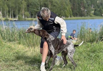 Fra første fuglehund til 16 strake førstepremier