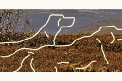 4 Vorsteh deltok i Norsk Derby 2026