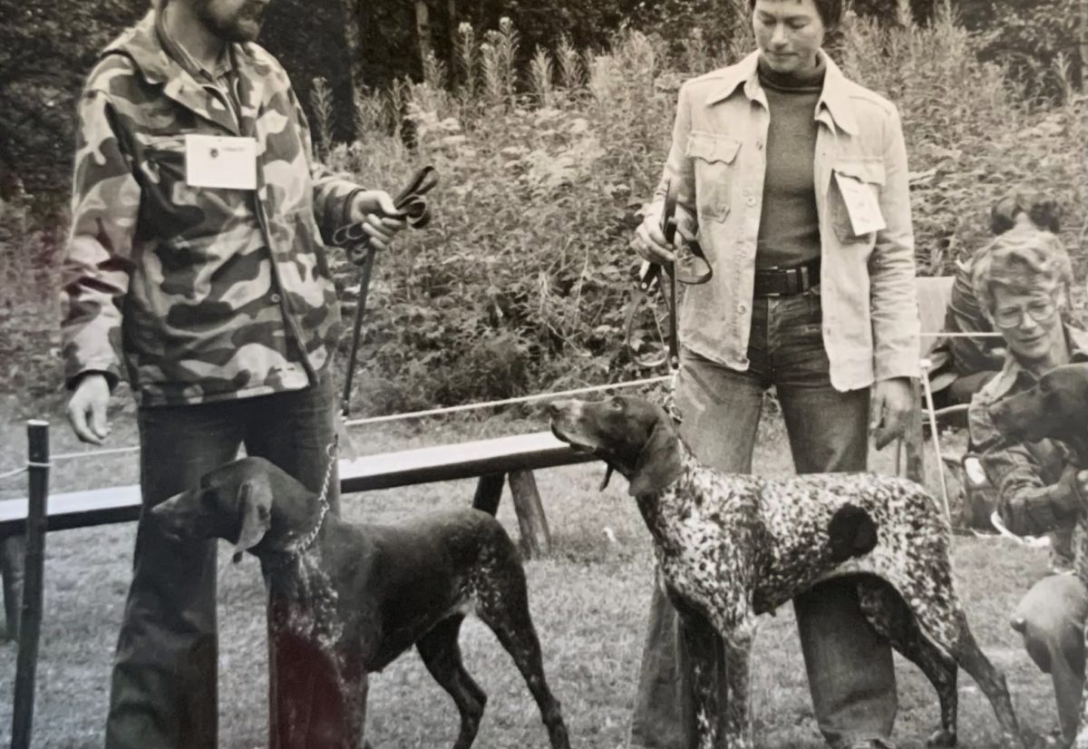 50 år med vorsteh, jaktglede og avl, – bli kjent med Kongstorp kennel fra Kongsvinger.