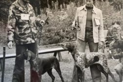50 år med vorsteh, jaktglede og avl, – bli kjent med Kongstorp kennel fra Kongsvinger.