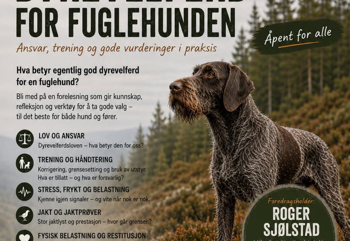 Foredrag: Dyrevelferd for fuglehunden v/Roger Sjølstad