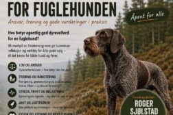 Foredrag: Dyrevelferd for fuglehunden v/Roger Sjølstad